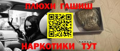 сатива Заводоуковск