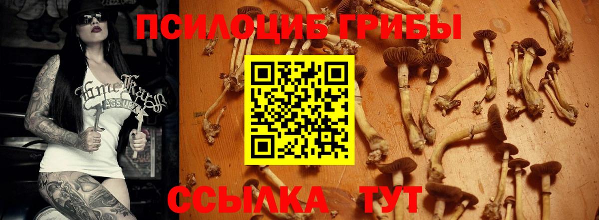 Юрга  Псилоцибиновые грибы GOLDEN TEACHER  как найти   Вход с VPN 